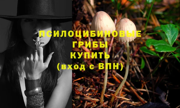 гидропоника Касимов