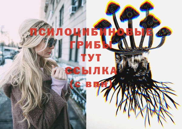 гидропоника Касимов